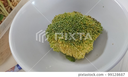 西蘭花 西蘭花 99128687