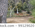 一個花園 99129020