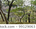 一個花園 99129063