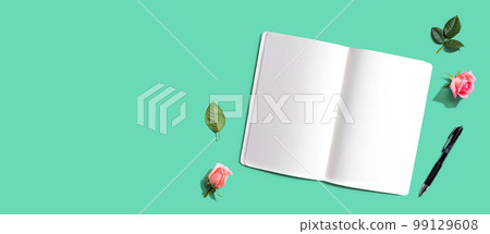 Blank open notebook with a pen from above 99129608