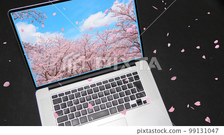 Computer and cherry tree 99131047