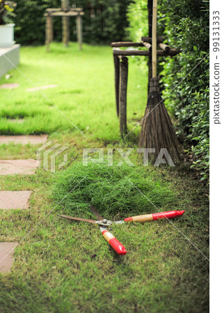 The pile of grass cut by the garden scissors with blurred coconut broom and garden in background The pile of grass cut by the garden scissors with blurred coconut broom and garden in background 99131333