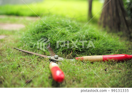 Closeup gardening scissors on the grass field with defocused pile of grass in background Closeup gardening scissors on the grass field with defocused pile of grass in background 99131335