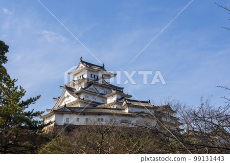日本兵庫縣姬路市的姬路城 日本兵庫縣姬路市的姬路城 99131443