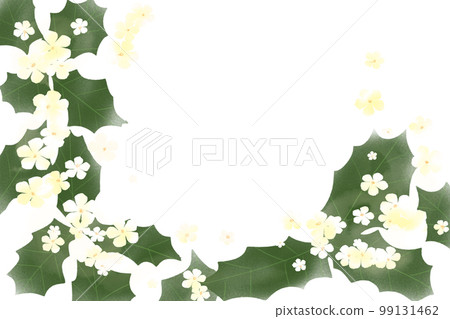 Hiiragi's flower Hiiragi's flower 99131462