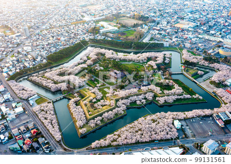 Hakodate Goryokaku cherry blossoms aerial view Hakodate Goryokaku cherry blossoms aerial view 99131561