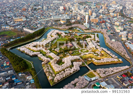 函館五棱郭櫻花鳥瞰圖 99131563