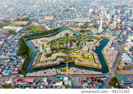 函館五棱郭櫻花鳥瞰圖 函館五棱郭櫻花鳥瞰圖 99131565