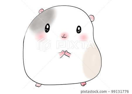cute guinea pig and hamster cute guinea pig and hamster 99131776