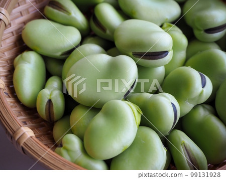 Broad beans Broad beans 99131928