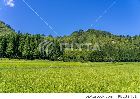 Mountain Village -Summer Scenery- Mountain Village -Summer Scenery- 99132411
