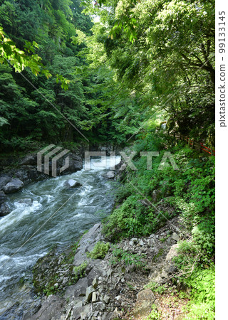 廣島縣安紀太田町自然美景的僻靜處三段峽，初夏的新綠 99133145