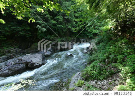 廣島縣安紀太田町自然美景的僻靜處三段峽，初夏的新綠 99133146