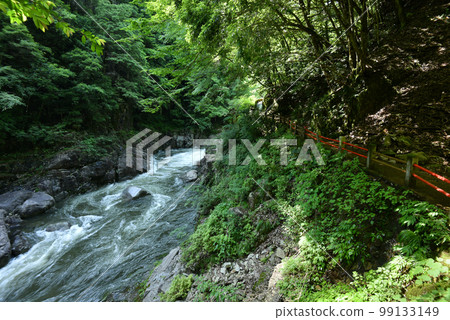 廣島縣安紀太田町自然美景的僻靜處三段峽，初夏的新綠 99133149