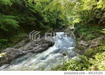 廣島縣安紀太田町自然美景的僻靜處三段峽，初夏的新綠 99133150