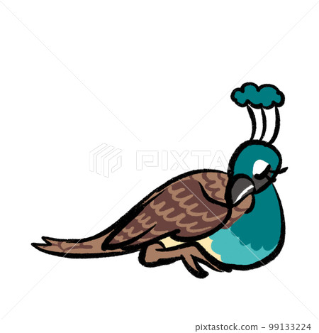 孔雀圖 孔雀圖 99133224