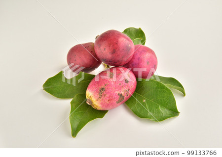 Mube, Mbe, Acrylaceae, Mbe, Autumn Taste, Autumn Image 99133766