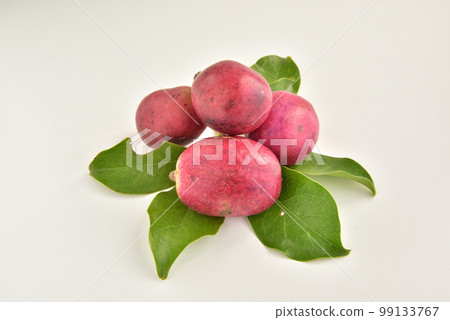 Mube, Mbe, Acrylaceae, Mbe, Autumn Taste, Autumn Image Mube, Mbe, Acrylaceae, Mbe, Autumn Taste, Autumn Image 99133767