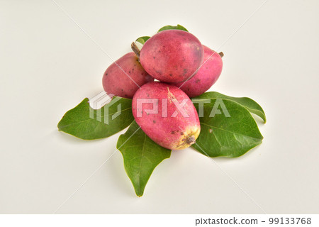 Mube, Mbe, Acrylaceae, Mbe, Autumn Taste, Autumn Image Mube, Mbe, Acrylaceae, Mbe, Autumn Taste, Autumn Image 99133768