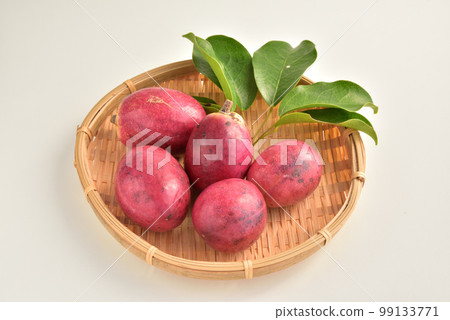 Mube, Mbe, Acrylaceae, Mbe, Autumn Taste, Autumn Image 99133771