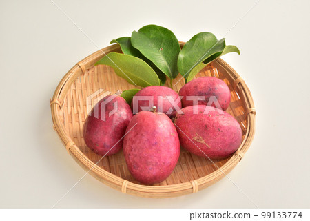 Mube, Mbe, Acrylaceae, Mbe, Autumn Taste, Autumn Image Mube, Mbe, Acrylaceae, Mbe, Autumn Taste, Autumn Image 99133774