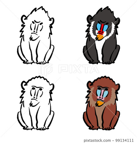 Mandrill illustration coloring set 99134111