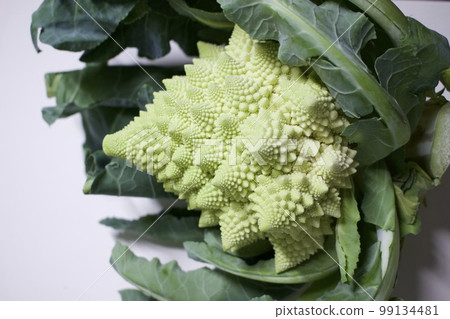 Romanesco 99134481