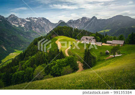 Logar valley view and slopes with colorful wildflowers, Slovenia 99135384
