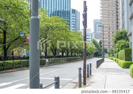 日本橋河沿岸的一排櫻花樹/東京千代田區 日本橋河沿岸的一排櫻花樹/東京千代田區 99135417