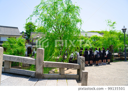 [Okayama Prefecture] April: Under the refreshing blue sky, sightseeing in the Kurashiki Bikan Historical Quarter with the family during the fresh green season 99135501