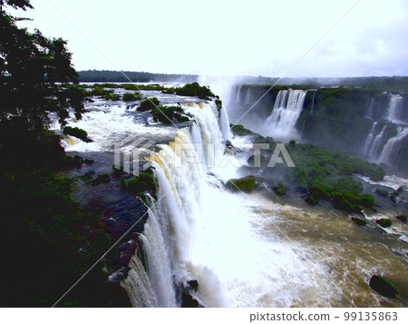 Iguacu Falls from the Brazil side 99135863
