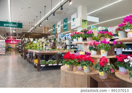 shopping at home center 99137013