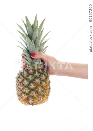 A woman's hand holds a ripe pineapple on a white background. A woman's hand holds a ripe pineapple on a white background. 99137290