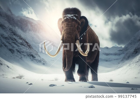 Mammoth elephant walking in snow winter mountains. Generative AI Mammoth elephant walking in snow winter mountains. Generative AI 99137745