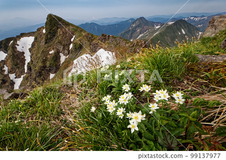 Mt. Tanigawa・Oki no Mimi no Hakusan Ichige and Toma Mimi Mt. Tanigawa・Oki no Mimi no Hakusan Ichige and Toma Mimi 99137977