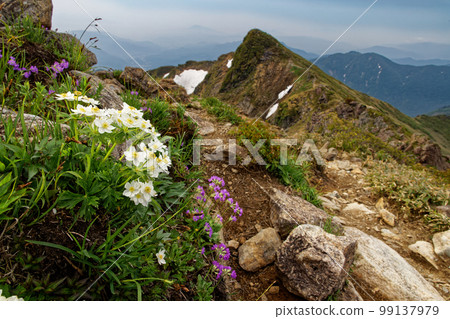 Mt. Tanigawa・Oki no Mimi no Hakusan Ichige and Toma Mimi Mt. Tanigawa・Oki no Mimi no Hakusan Ichige and Toma Mimi 99137979