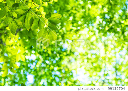 Fresh green and eco image 99139704