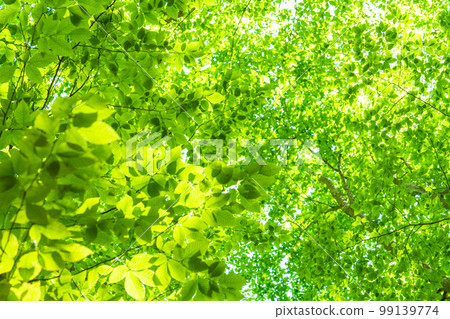 Fresh green and eco image 99139774