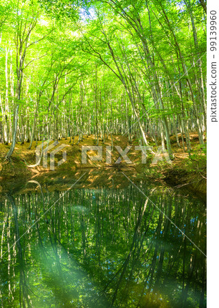 Fresh green and eco image Fresh green and eco image 99139960