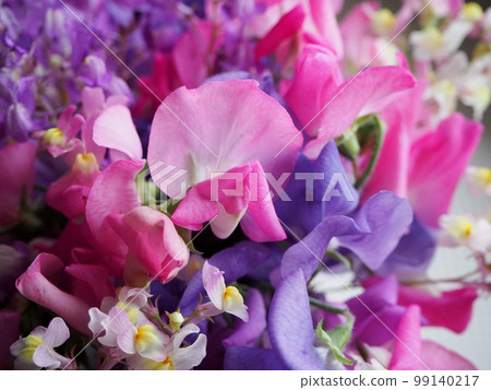 香豌豆花插花 香豌豆花插花 99140217
