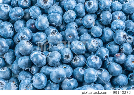 blueberry bilberry fruit 99140273