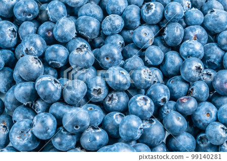 blueberry bilberry fruit blueberry bilberry fruit 99140281