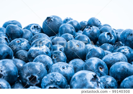 blueberry bilberry fruit 99140308