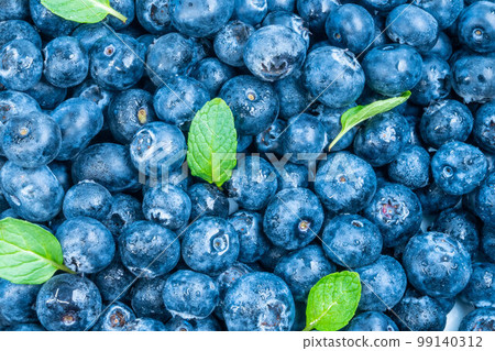 blueberry bilberry fruit 99140312