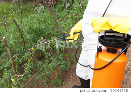 Farmer spraying toxic pesticides in the vegetable garden 99141458