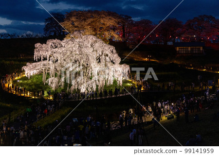 福島縣三春櫻花秋天 福島縣三春櫻花秋天 99141959