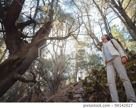 woman enjoys nature, beautiful forest in mountains 99142027