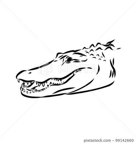 Hand-drawn pencil graphics, crocodile, alligator, croc. Engraving, stencil style. Black and white logo, sign, emblem, symbol. Stamp, seal. Simple illustration. Sketch. Hand-drawn pencil graphics, crocodile, alligator, croc. Engraving, stencil style. Black and white logo, sign, emblem, symbol. Stamp, seal. Simple illustration. Sketch. 99142660