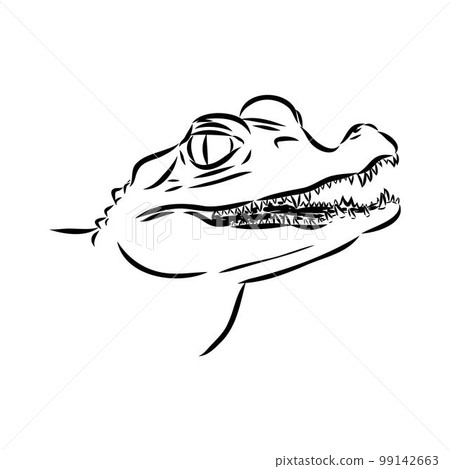 Hand-drawn pencil graphics, crocodile, alligator, croc. Engraving, stencil style. Black and white logo, sign, emblem, symbol. Stamp, seal. Simple illustration. Sketch. 99142663