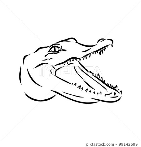 Hand-drawn pencil graphics, crocodile, alligator, croc. Engraving, stencil style. Black and white logo, sign, emblem, symbol. Stamp, seal. Simple illustration. Sketch. Hand-drawn pencil graphics, crocodile, alligator, croc. Engraving, stencil style. Black and white logo, sign, emblem, symbol. Stamp, seal. Simple illustration. Sketch. 99142699